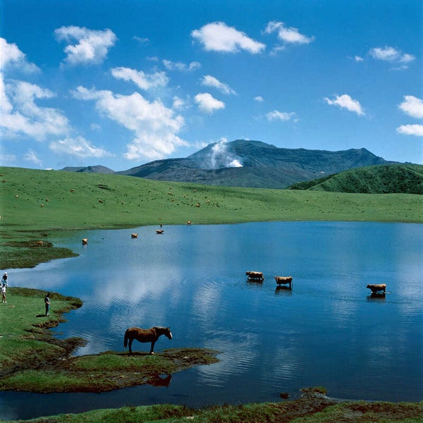 【群馬県内発】 別府温泉・阿蘇温泉郷にご宿泊!九州大横断ハイライト 熊本城公園・高千穂峡・湯布院・草千里3日間3